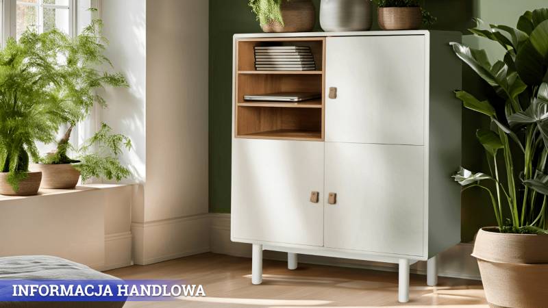 Komoda do przedpokoju – dobrze  zorganizowana przestrzeń
